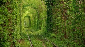 Que tal viajar para um lugar abandonado?