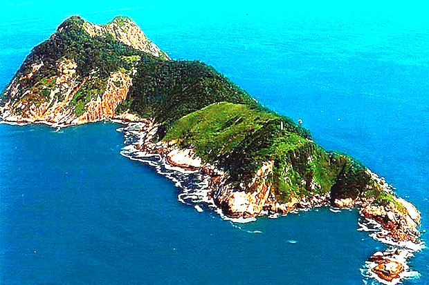 Snake-Island-Brazil