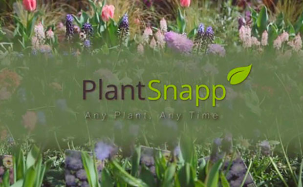 plant-snap-el-hombre