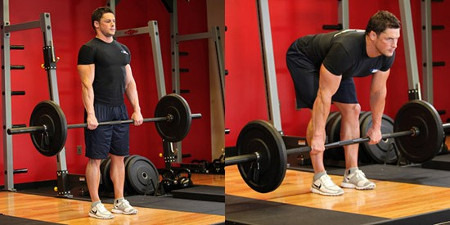 Os Melhores Exercícios Para Posterior De Coxa! - barbell Brasil