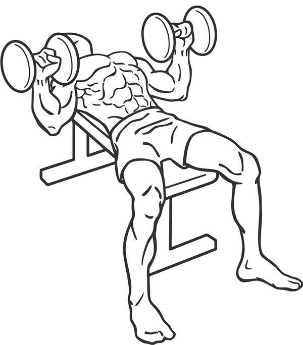 Os 6 melhores exercícios para o peitoral masculino - El Hombre