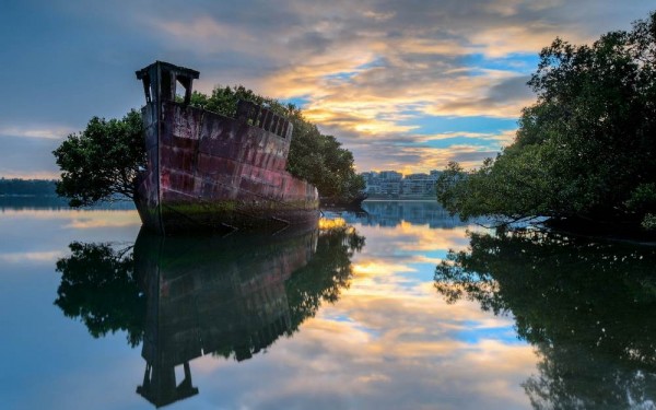 floating-forest-sydney-australia