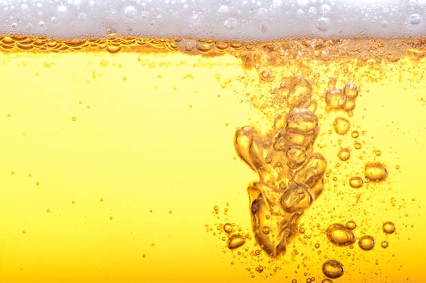 10 argumentos científicos para beber cerveja todo dia