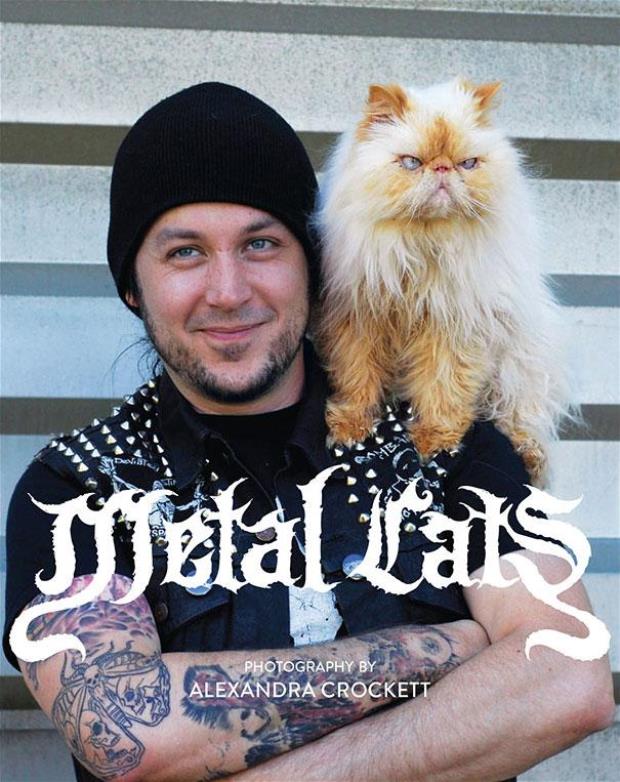 metal-cats-alexandra-crockett-11