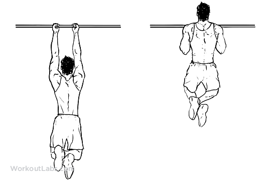 exercícios para costas melhores