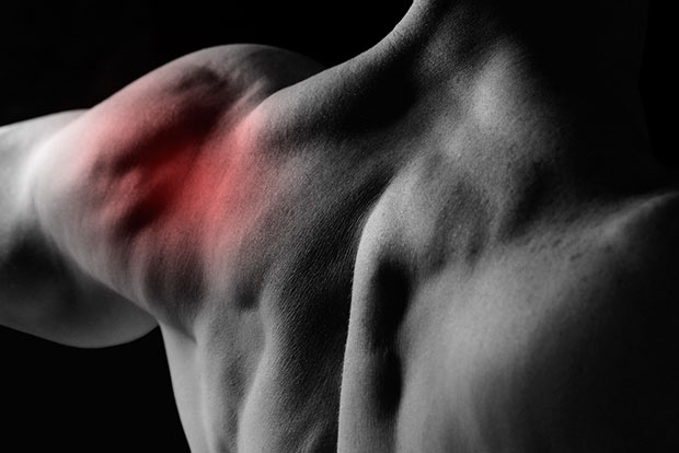 Saiba como evitar problemas no ombro originados na musculação