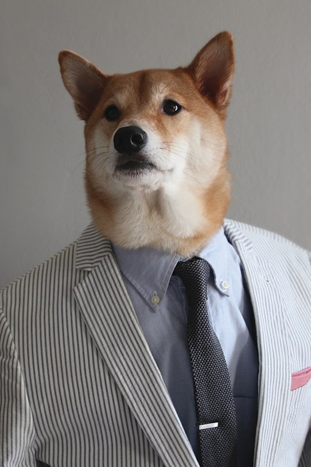 Menswear-Dog-04-GQ-23Apr15_b_540x810