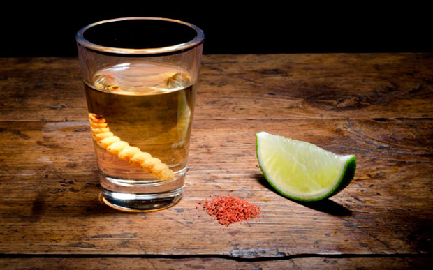 mezcal-el-hombre