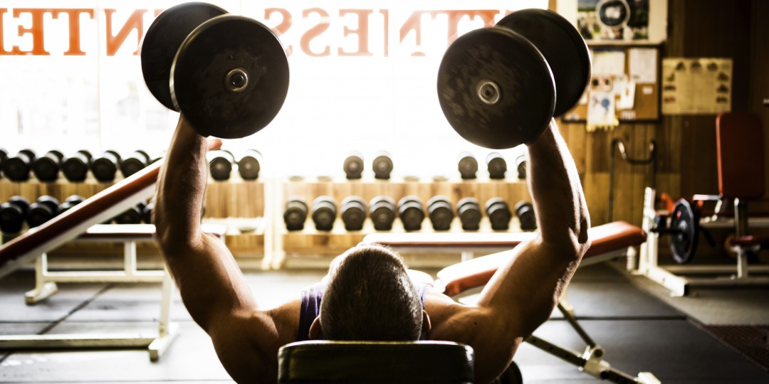 musculação para iniciantes