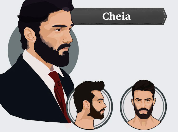 tipos de barba