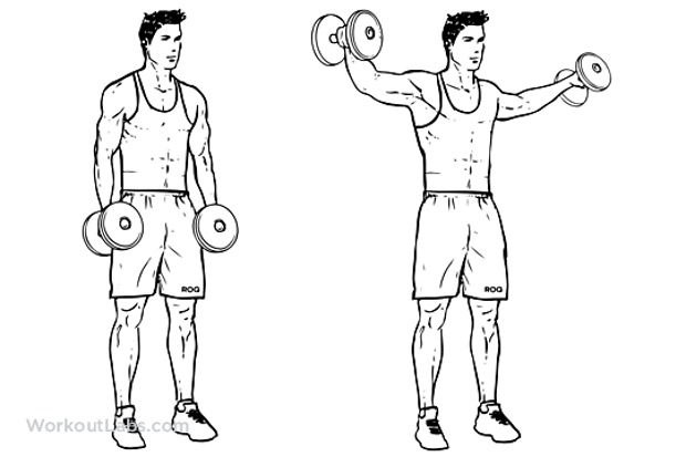 elevacao-lateral-el-hombre