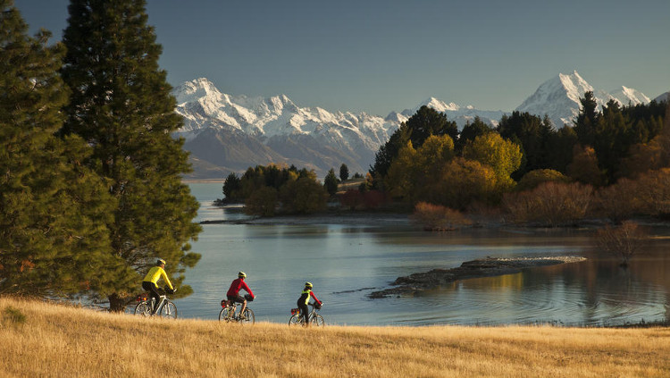 nz