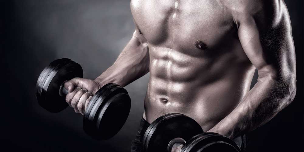 treino de bíceps melhores exercícios