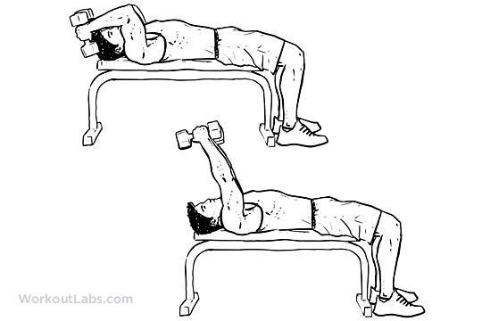 treino de tríceps melhores exercícios