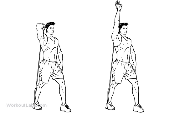 extensor elástico exercícios musculação casa