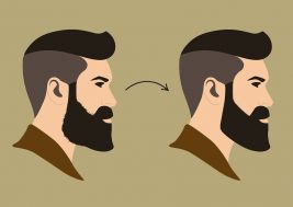contorno barba
