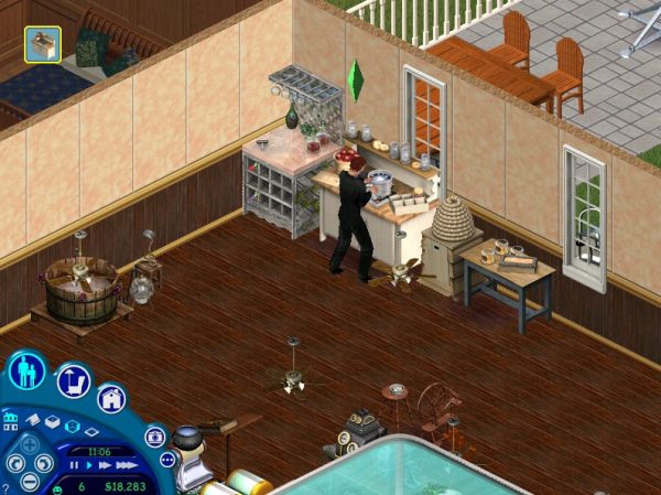 the sims