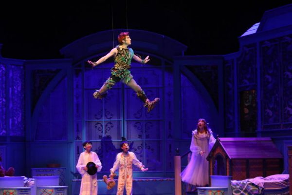 Peter Pan o Musical