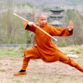 monges Shaolin