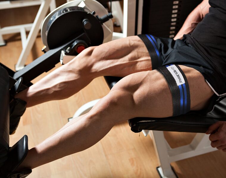 Rotina Push Pull Legs