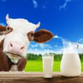 5 fatos sobre o leite que você deveria saber