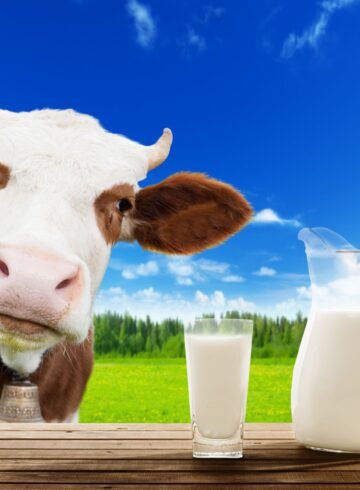 5 fatos sobre o leite que você deveria saber