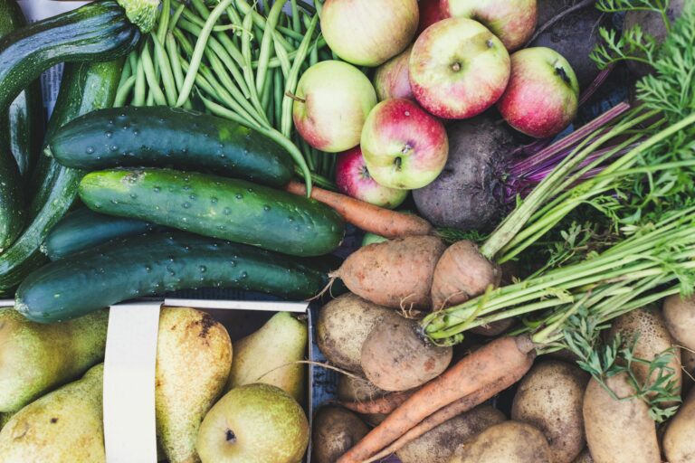 Alimentação Sustentável: Como Fazer Escolhas Conscientes