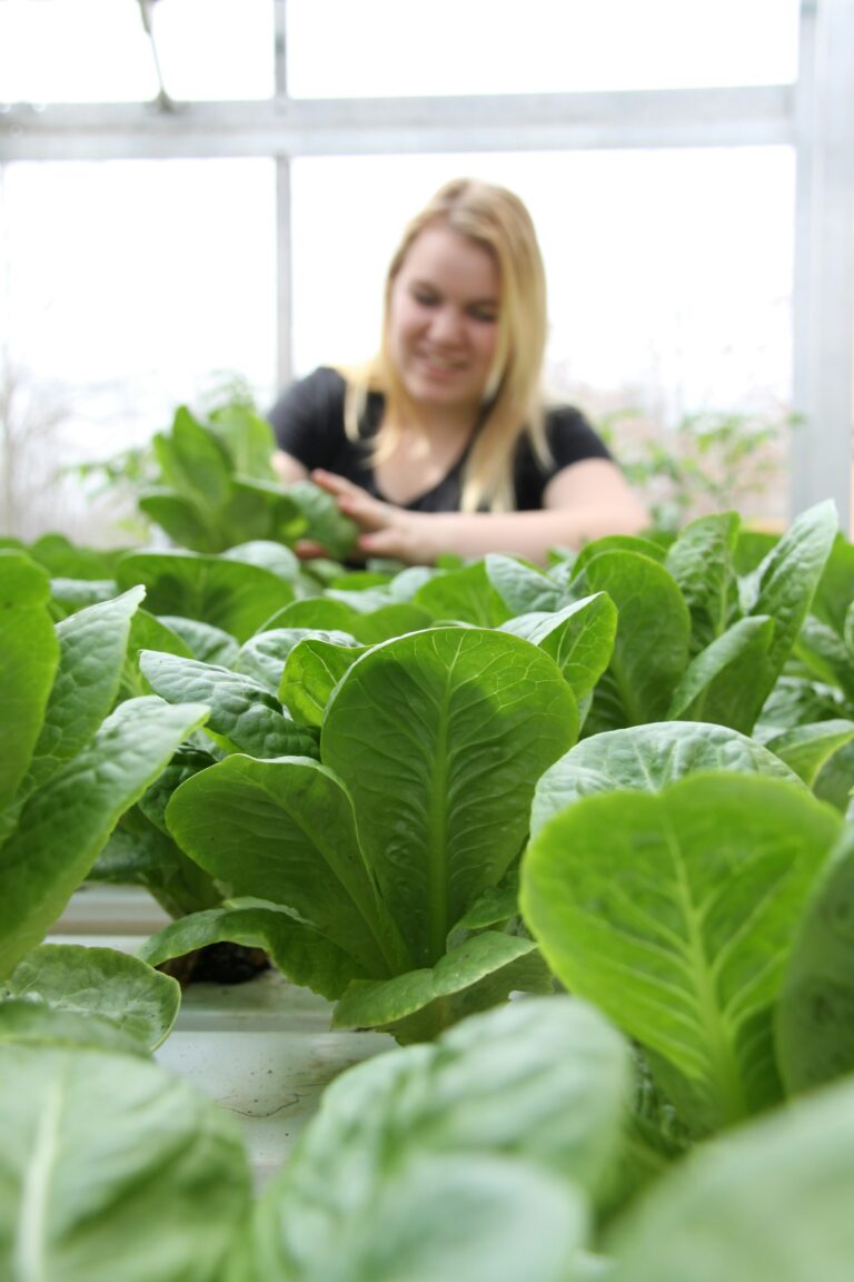 Descubra os Benefícios da Alimentação Plant-Based