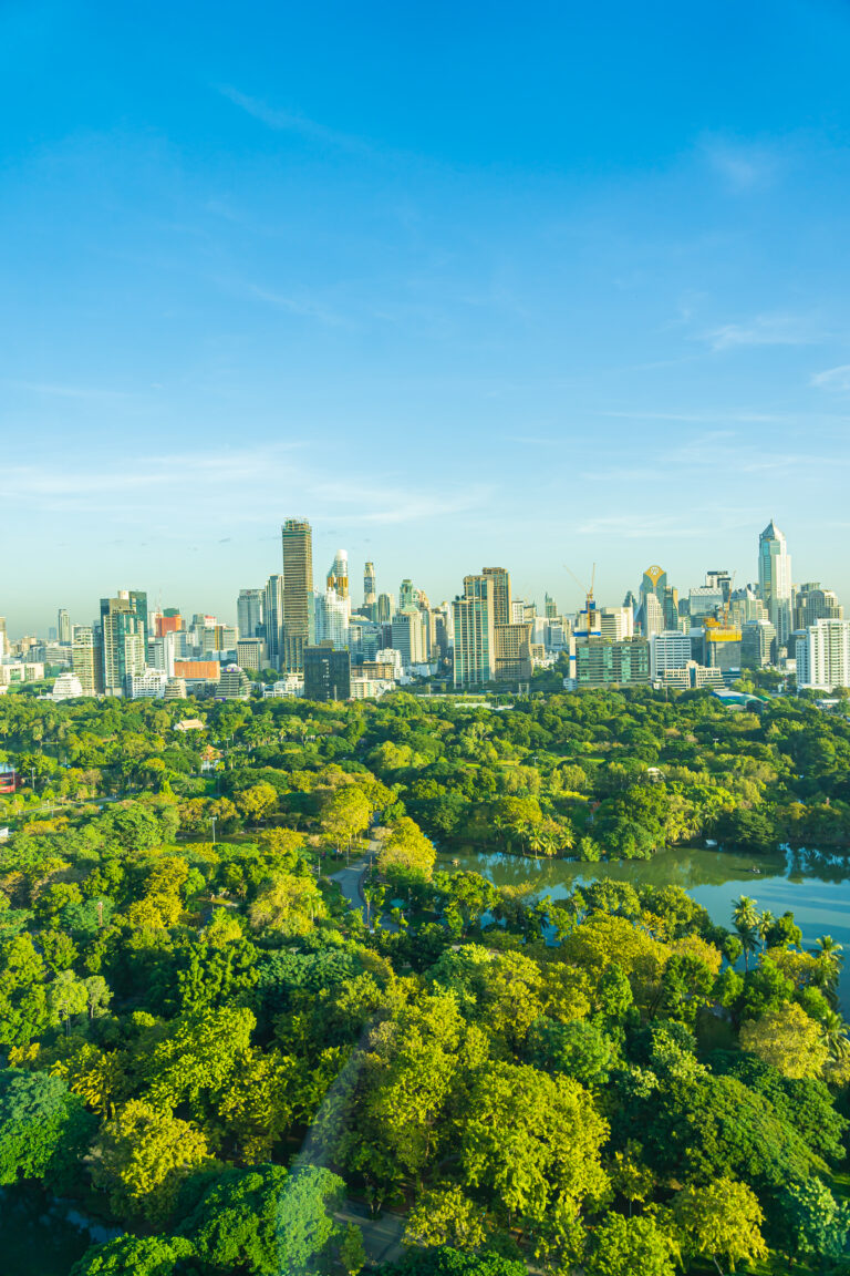 Cidades Inteligentes: A Revolução Verde nas Metrópoles