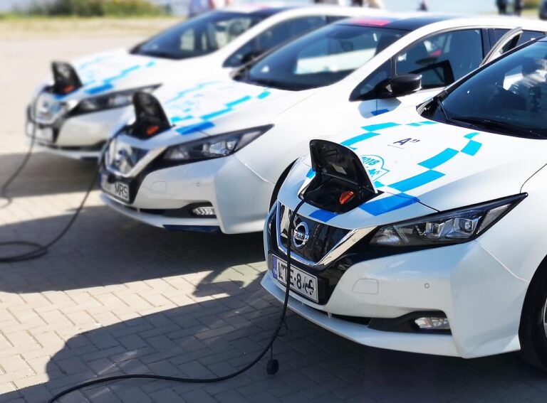 Carros Elétricos: O Futuro da Mobilidade Sustentável
