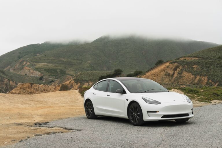 Carros Elétricos no Brasil: Tendências e Desafios
