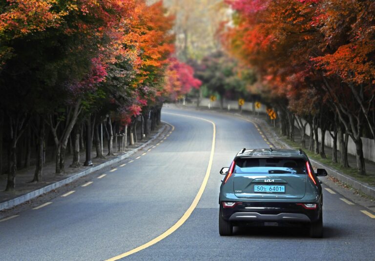 Carros Elétricos: O Futuro da Mobilidade Sustentável