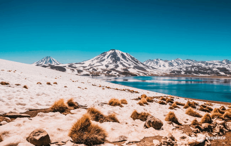 Descubra a Magia do Atacama: Oásis e Céus Estrelados