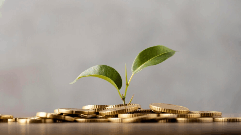 Estratégias Infalíveis para Economizar Dinheiro em 2023