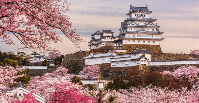 Descubra os Segredos de Viagem Mais Inusitados do Japão