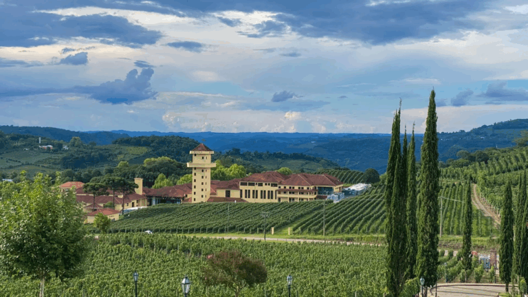 Descubra as Maravilhas da Rota dos Vinhos no Sul do Brasil