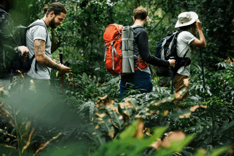 Descubra os Destinos de Ecoturismo Mais Incríveis do Brasil