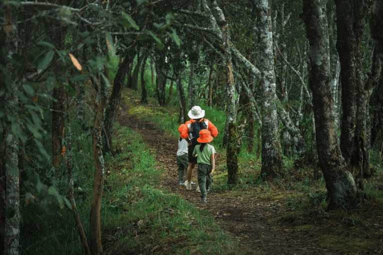 Descubra as Maravilhas do Turismo Sustentável em 2024