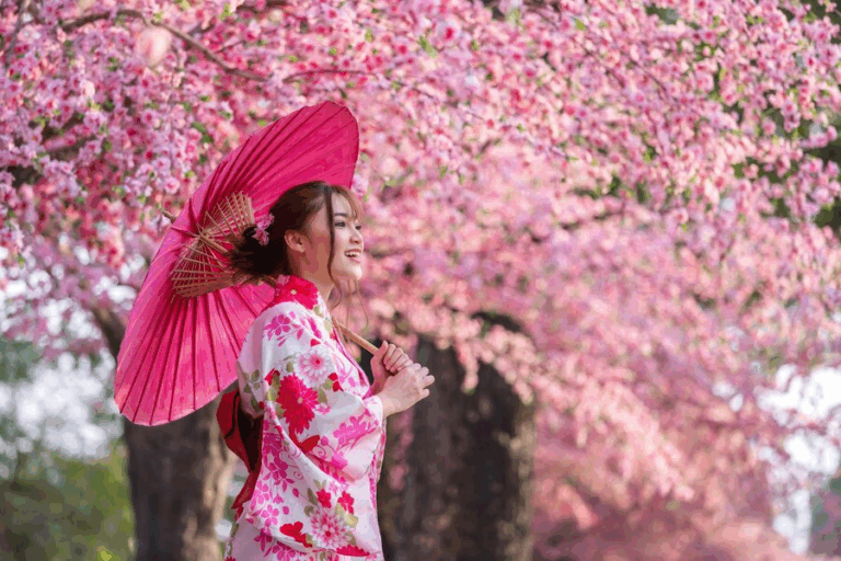 Descubra Curiosidades Fascinantes sobre o Costume do Hanami no Japão