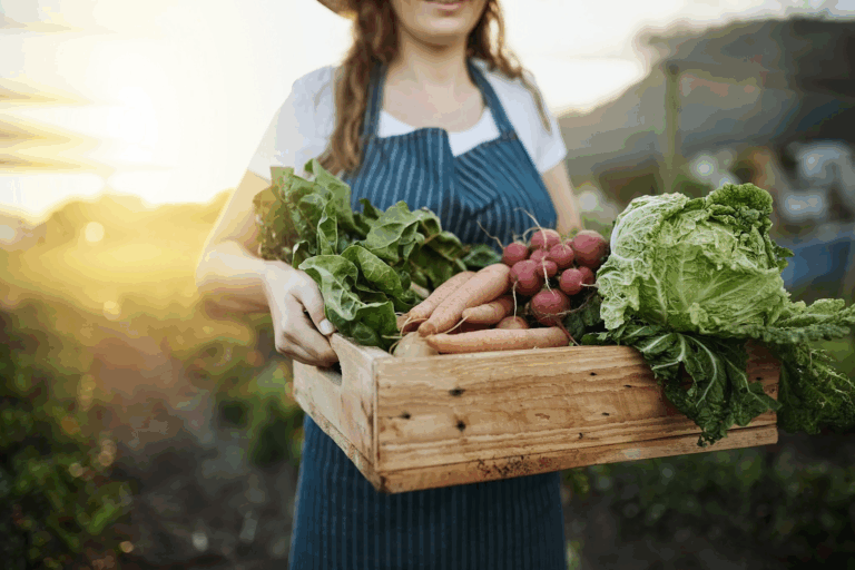 O Crescimento da Gastronomia Sustentável pelo Mundo