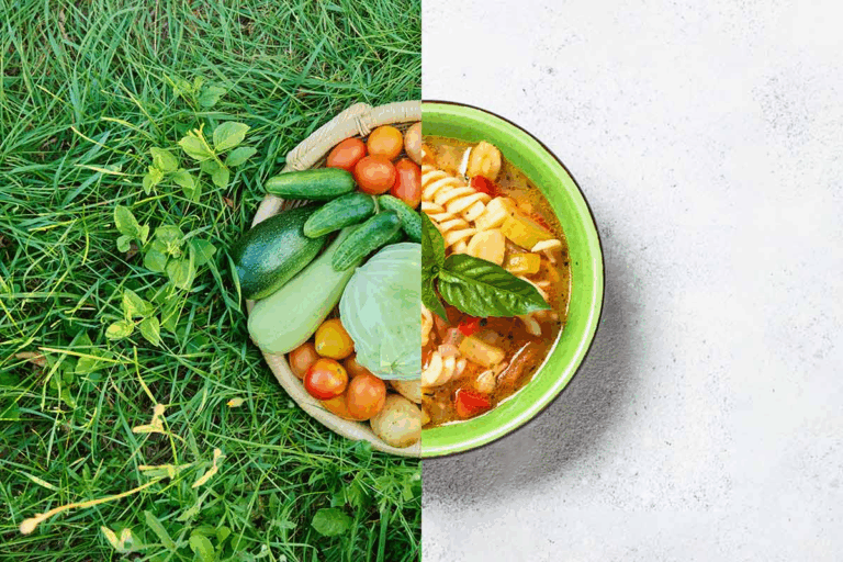 Cozinha Plant-Based: A Revolução Verde que Conquista o Mundo