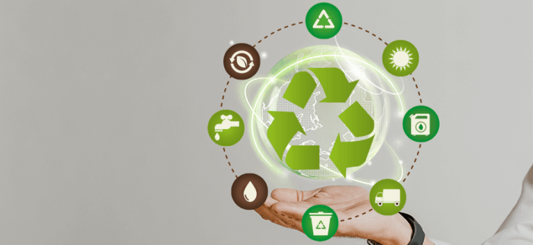 A Revolução da Economia Circular: Sustentabilidade em Foco