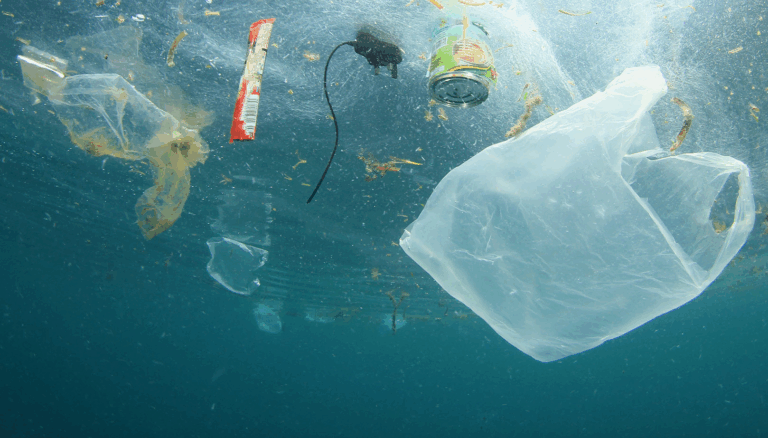 Soluções Sustentáveis: O Futuro do Plástico nos Oceanos