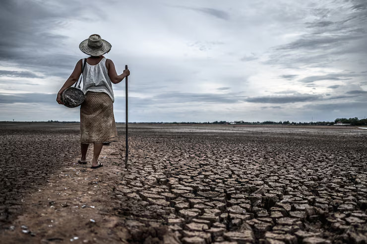 Impacto Global da Mudança Climática: Desafios e Soluções