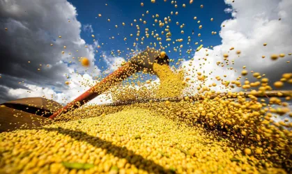 Impacto das Mudanças Climáticas na Segurança Alimentar Global
