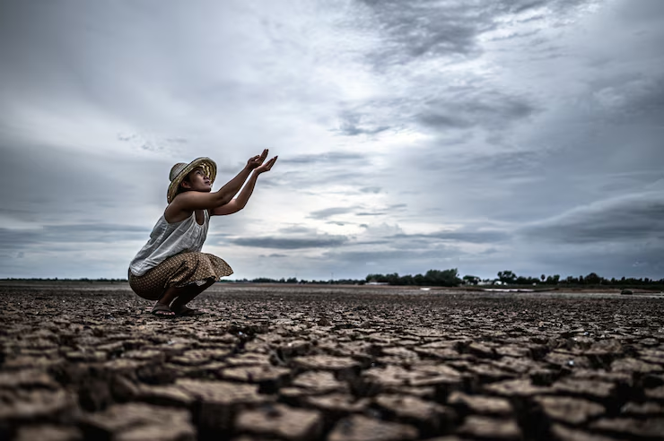 Impacto das Mudanças Climáticas no Fórum Econômico Mundial