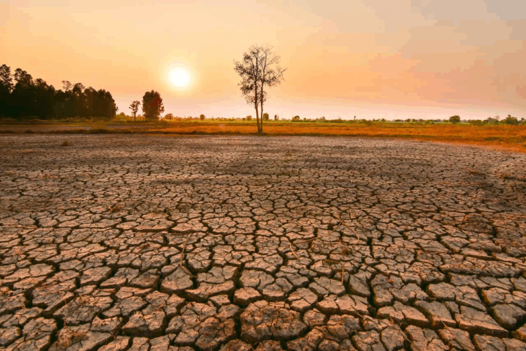 Efeitos do El Niño em 2023: O Que Esperar