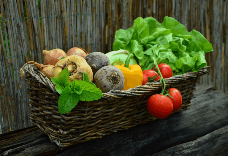 O Crescimento dos Alimentos de Plantas em 2023
