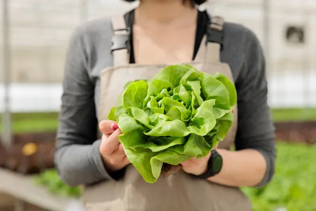 As Tendências de Gastronomia que Estão Transformando 2023