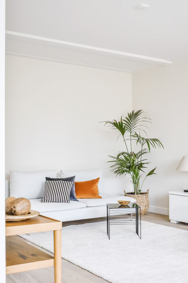 Minimalismo: Transforme Seu Estilo de Vida em 5 Passos